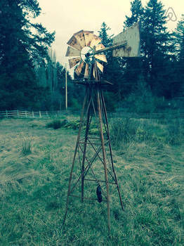 Beaver Lake Farm Guest House Victoria Exterior photo